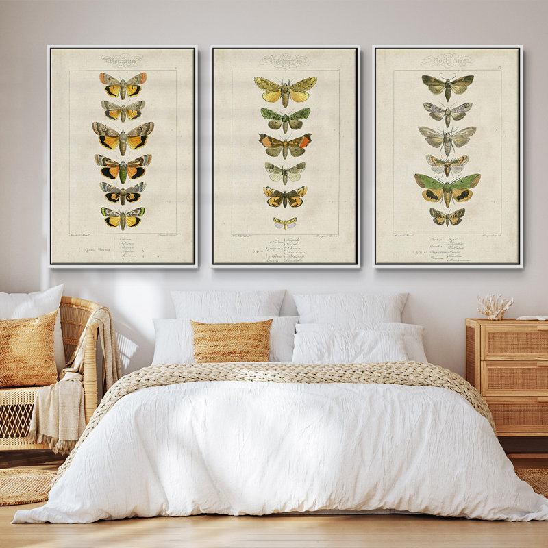 Ensemble de 3 papillons encadrés sur toile,, H 40 po x l 78 po, Blanc