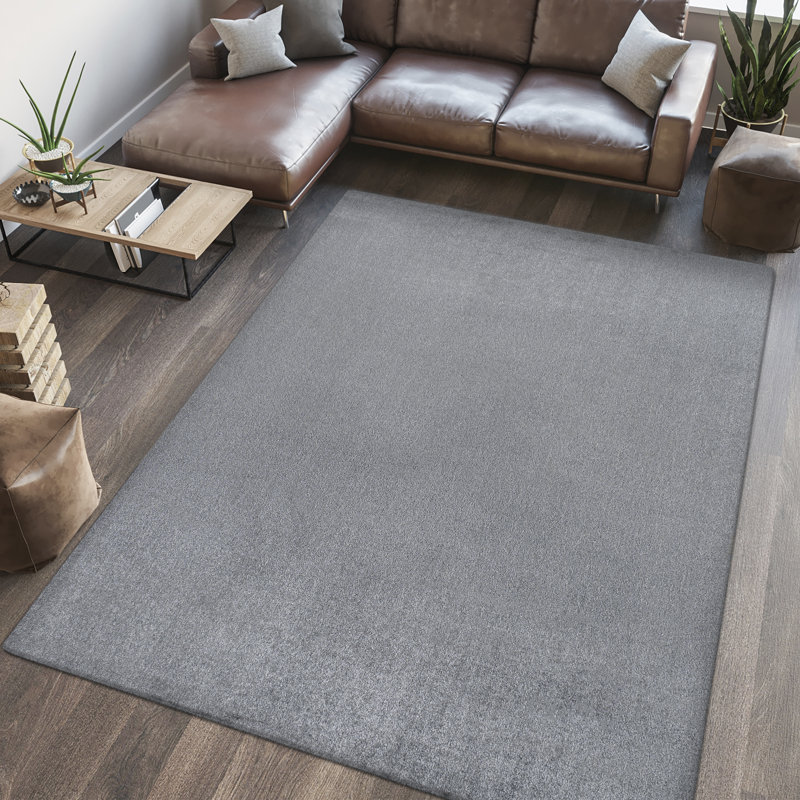 Twyla Classic Solid Low-Pile Machine-Washable Gray Rug, Rectangle 2'11" x 5'