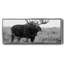 Grand Teton Bull Moose - toile encadrée-110643447