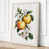 Cream Border is out of stock