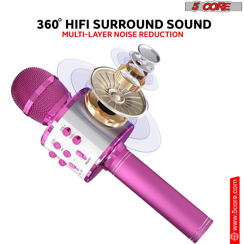 Microphone portatif sans fil à 5 cœurs avec micro karaoké 5-en-un avec haut-parleur Microfono Inalambrico, Rose