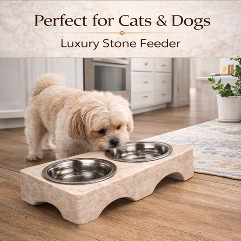Anti-Skid Pet Bowl