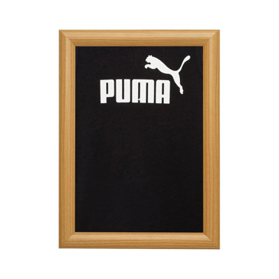 Professional Series Metal Picture Frame