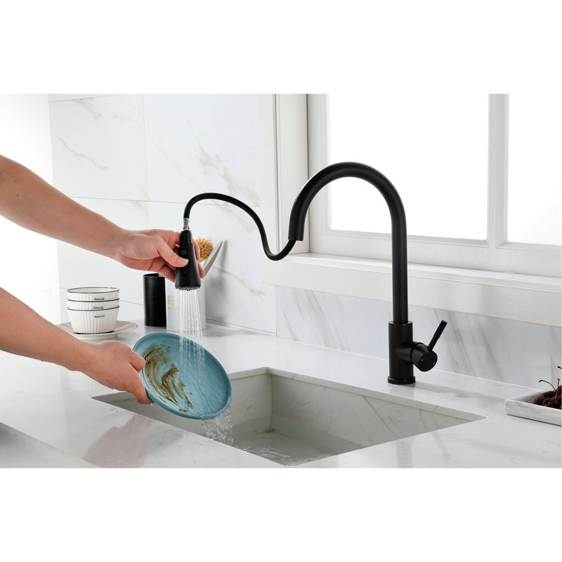 Le robinet de cuisine contemporain à bec rétractable, finition noire matte, acier inoxydable, offre un robinet de solution d'eau élégant et pratique avec un bec rétractable noir, offrant une sortie fonctionnelle