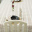 Red Barrel Studio® 72X160 Graceful Living: nappe décorative en coton faite à la main pour toutes les occasions, Darpan (14 places)-575592881