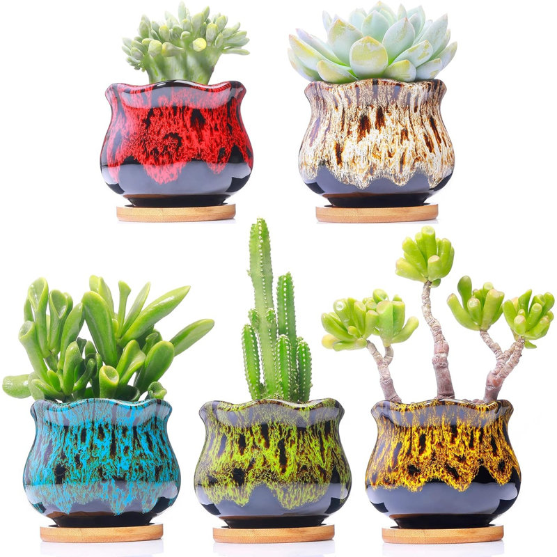 Fambe Ceramic Succulent Pots Set Of 5