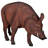 Razorback Wild Boar Garden Statue