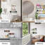 Tello Adhesive Stainless Steel Shower Shelf