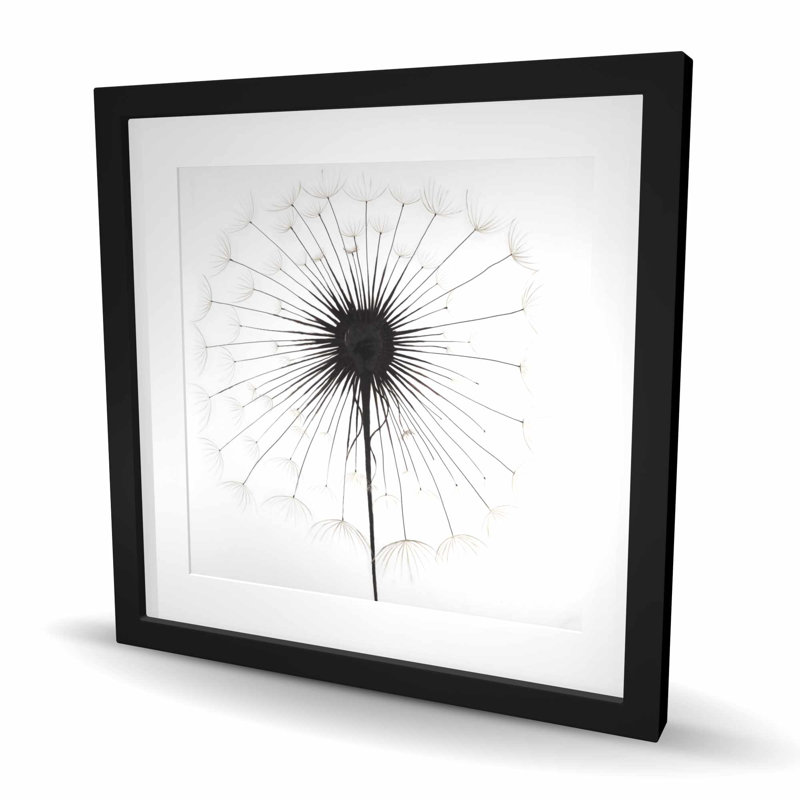 Pissenlit, impression botanique florale, Noir, H 24 po x l 24 po