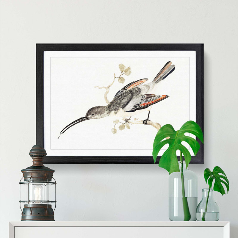 Hummingbird by Johan Teyler - Picture Frame Painting Print, 36cm H x 48cm W x 2cm D, Black Framed