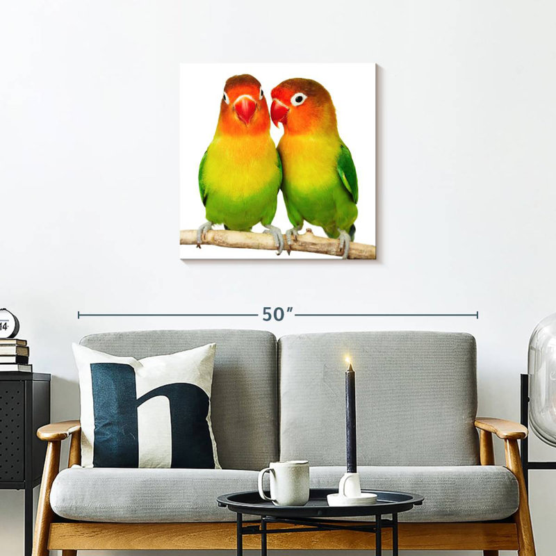 Crowle Lovebirds, H 24 po x l 24 po