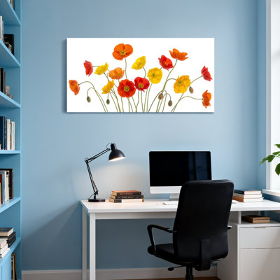 Plants & Flowers Poppy Flowers In Vibrant Colors On White Background
