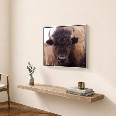 American Bison IV by Debra Van Swearingen - Graphic Art on Canvas