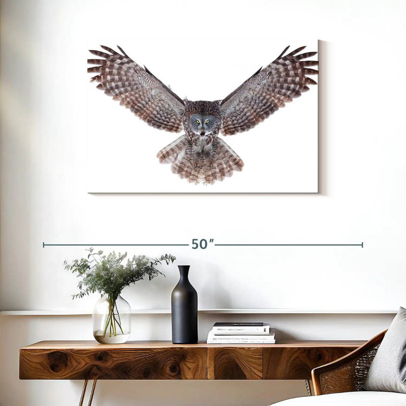 Owl Power, 24" H x 36" W