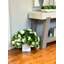 Outdoor UV Hydrangeas Arranged in Fiberstone Pot-1773342380
