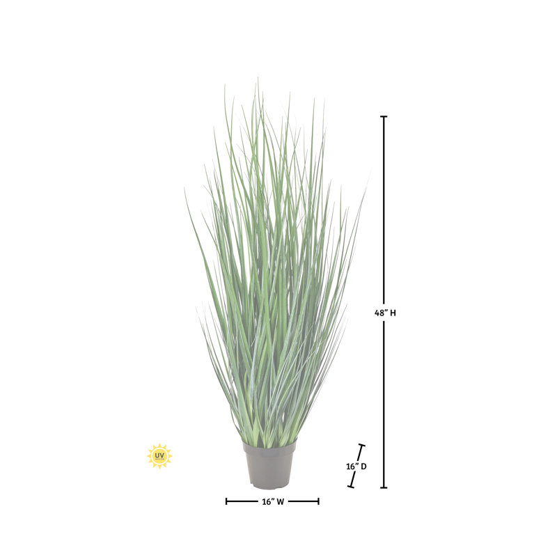 Herbe d'agave en pot 48 po UV, 48 po x 15 po