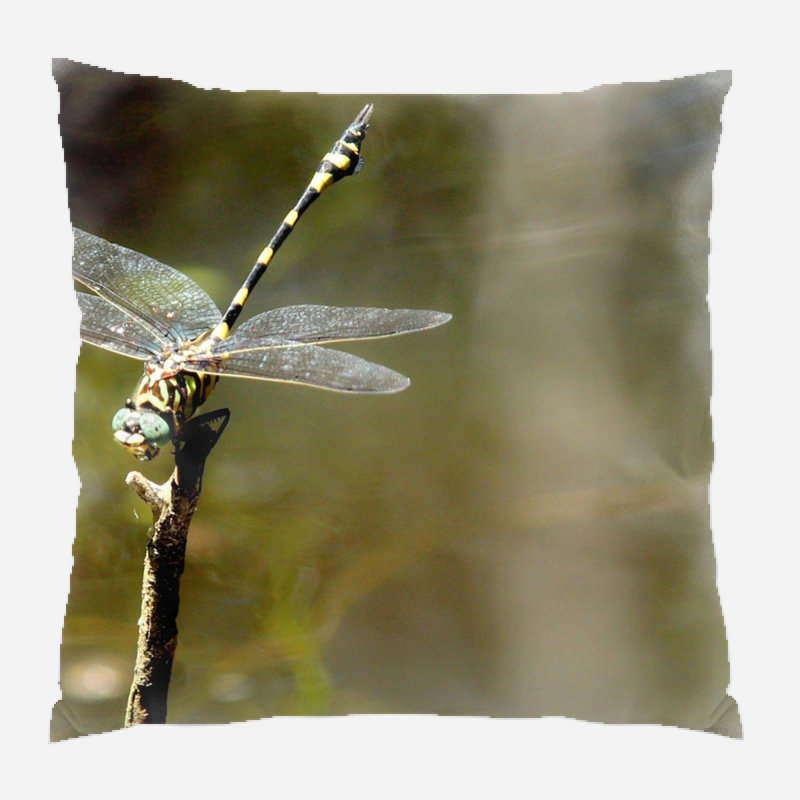 Maelys Outdoor Reversible Throw Pillow, Microsuede, Indoor