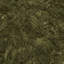 Polar Plush Afrina Machine Tufted Olive Green Area Rug-1548093052