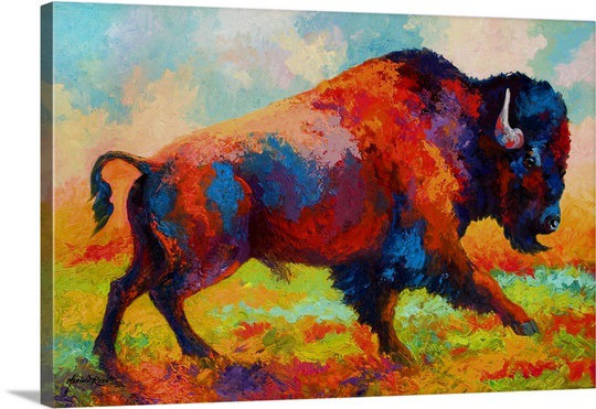 "Aid Free Runing Bison" par Marion Rose, reproduction d'art, H 16 po x l 24 po x P 1,5 po, Toile tendue