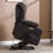 Biggins Power Massage Lift Recliner Chair-1750570045