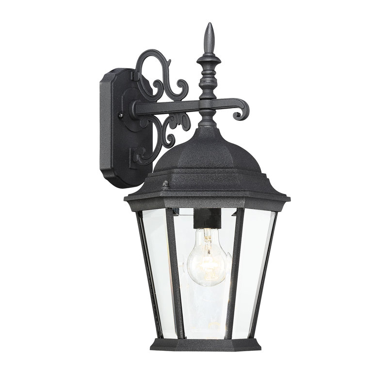 Okanagan 1-Light Outdoor Wall Lantern