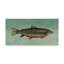 «Trout», reproduction de peinture acrylique sur toile tendue-33409120