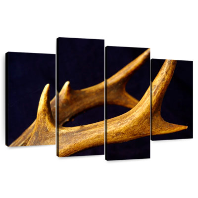 Bois de cerf Brampt
