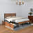 Suheil Bed Frames-1976812732