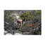 Art sur toile, Bob Bob Langrish-104136914