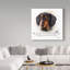 «Black and Tan Dachshund», reproduction d'impression sur toile tendue-26853366