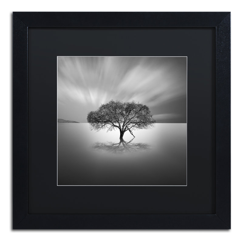 « water tree viii », reproduction de photo sur toile encadrée, H 11 po x l 14 po x P 0,5 po, Noir