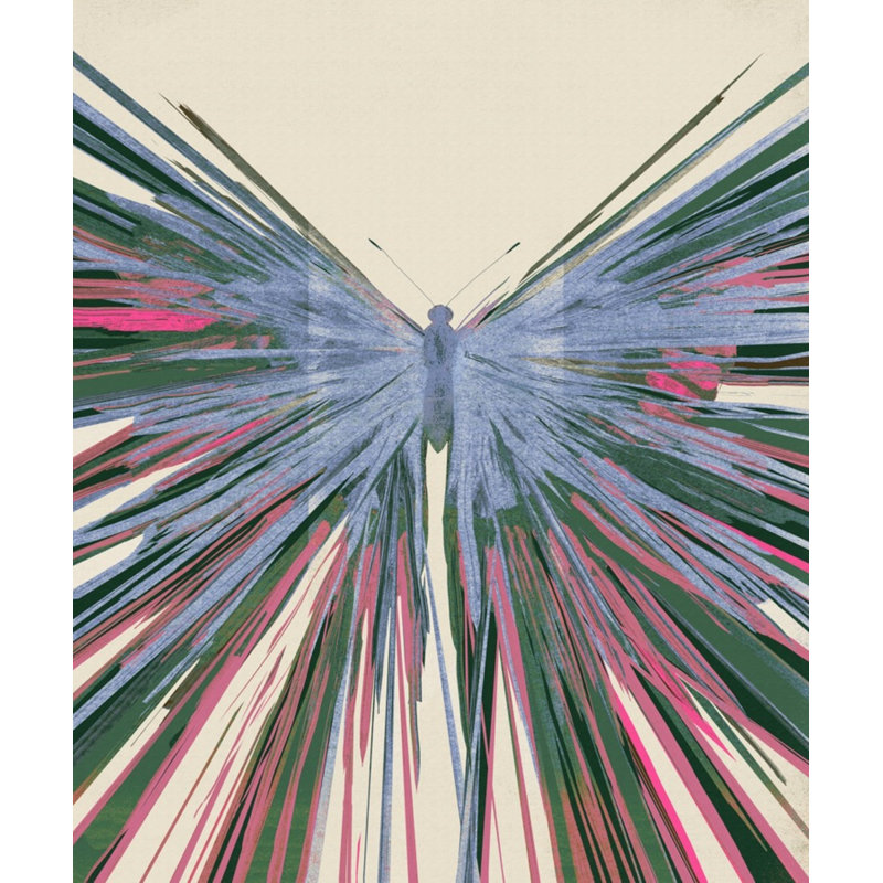 Butterfly Boom 3 Print by Todaro, Katie, 35'' H x 30'' W, Black Single Picture Framed