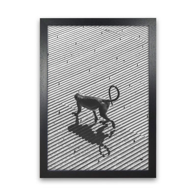 Monkey Buisness 1 Piece Wall Art