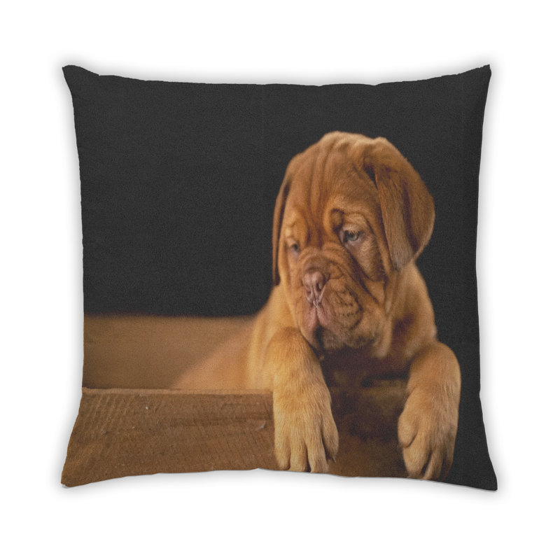Coussin Dogs Dogs 73, Microsuède