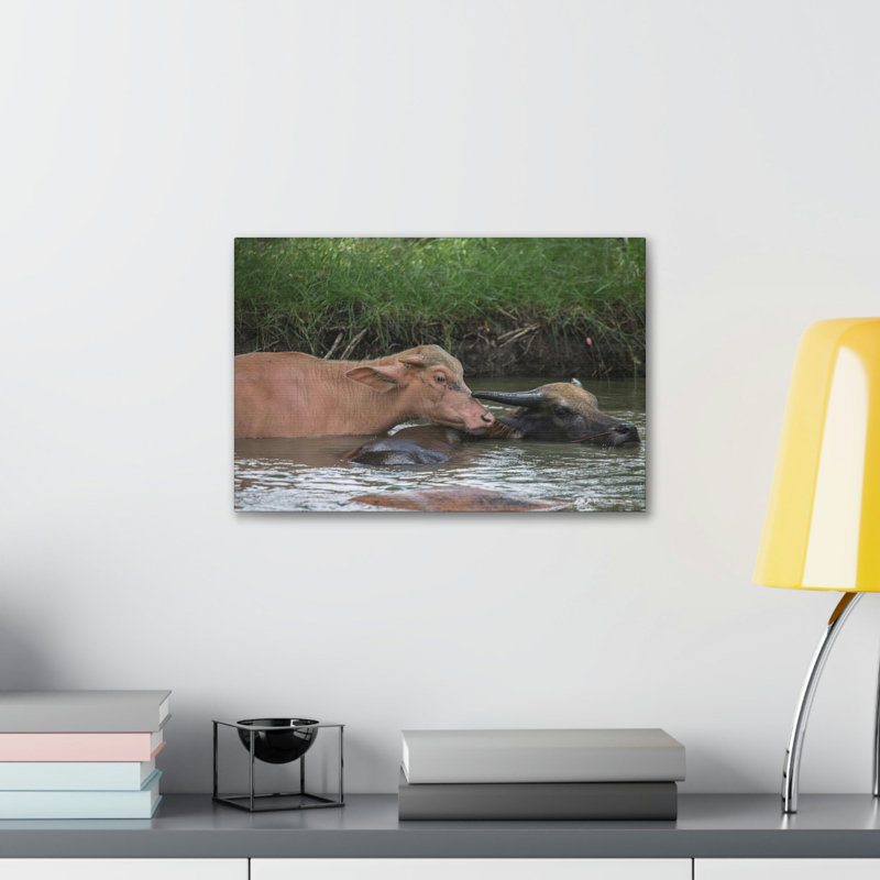Drôle de bison d'eau, H 18 po x l 24 po