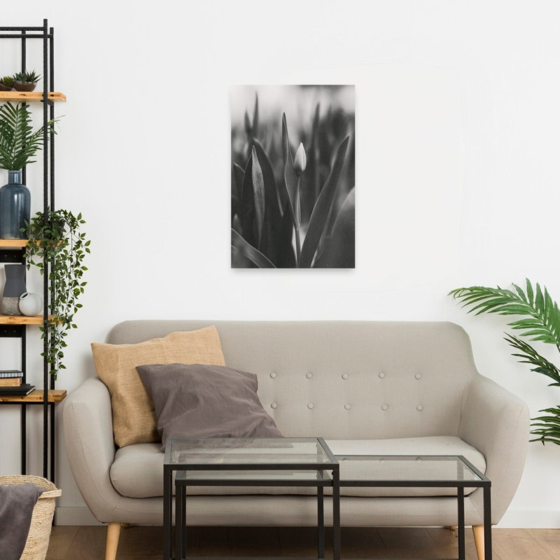 Delicate Tulip Bud Delicate Elegant Serene Tulip Flower Nature Wall Art Print 1 Piece Wrapped Canvas Wall Art
