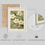 Reproduction d'art encadrée botanique blanc Magnolia-112375077-112375081