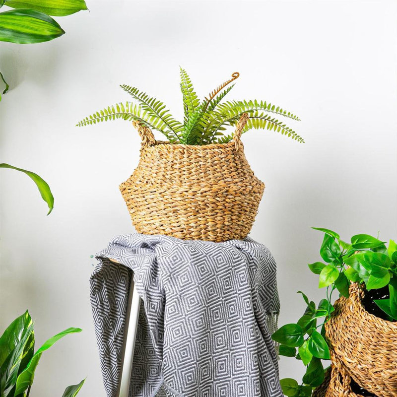 Bay Isle Home Jute / Sisal Decorative Basket, 28cm H x 20cm W x 20cm D