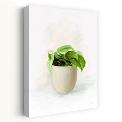 «Everyday Plants I», plante contemporaine