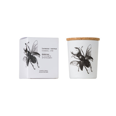 Candle in Jar INSECT LUCANUS CERVUS 2.36 diam. x 2.95 in