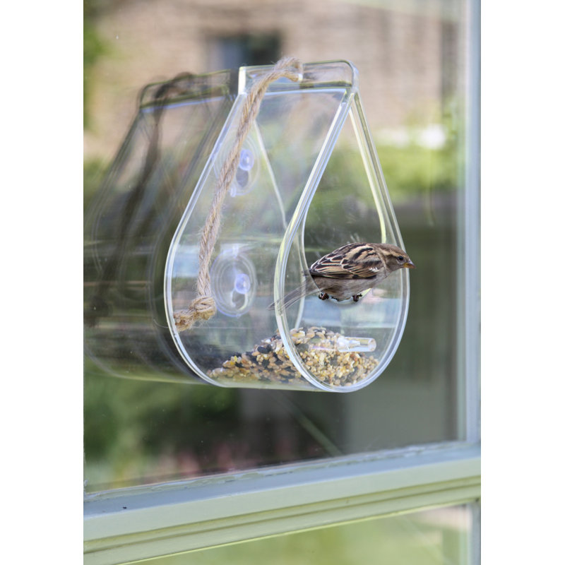 Bagley Window Decorative Bird Feeder