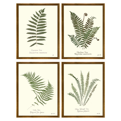 Plants & Flowers Set by Sandy Whitaker