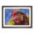 Walnut Framed selected