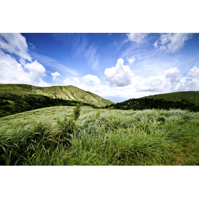 Hill - Wrapped Canvas Print