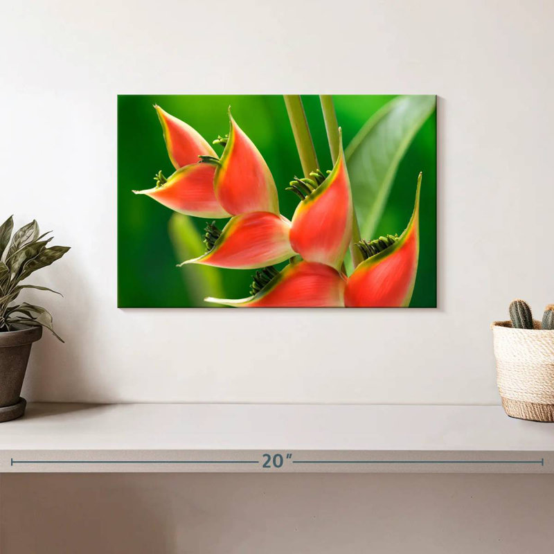 Fleur Harnek Heliconia, H 8 po x l 12 po