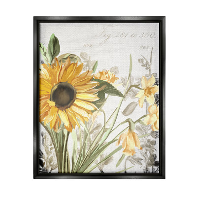 Doux tournesol, art floral sur toile, par Kim Allen