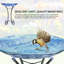 Bain d'oiseaux Cheffetz