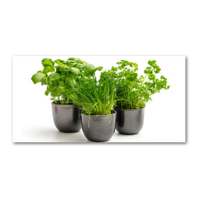 Herbs In Pots - Print