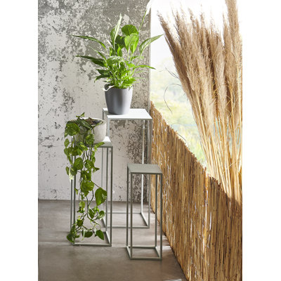Plant Stand