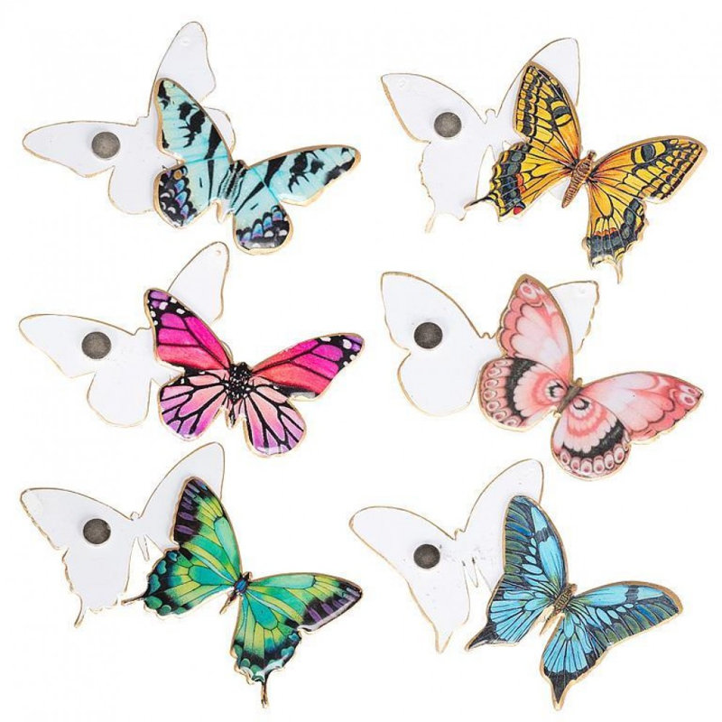 Set Of 6 Assorted Butterflies Two-Sided Magnet